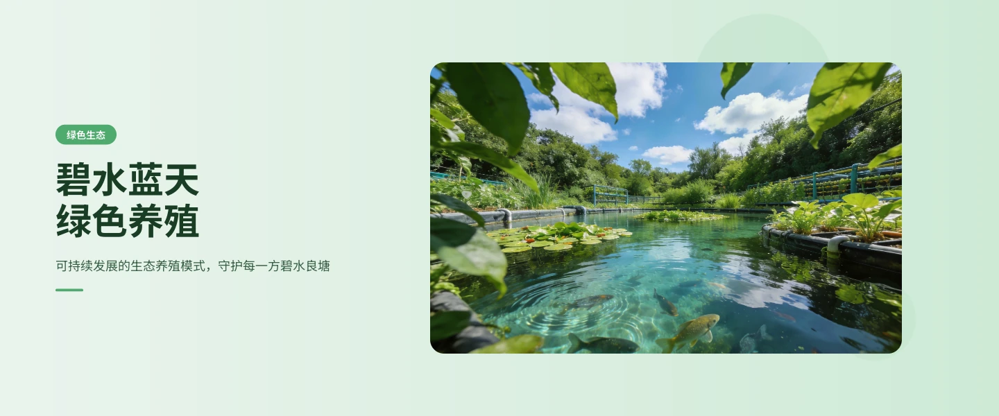 碧水蓝天绿色养殖