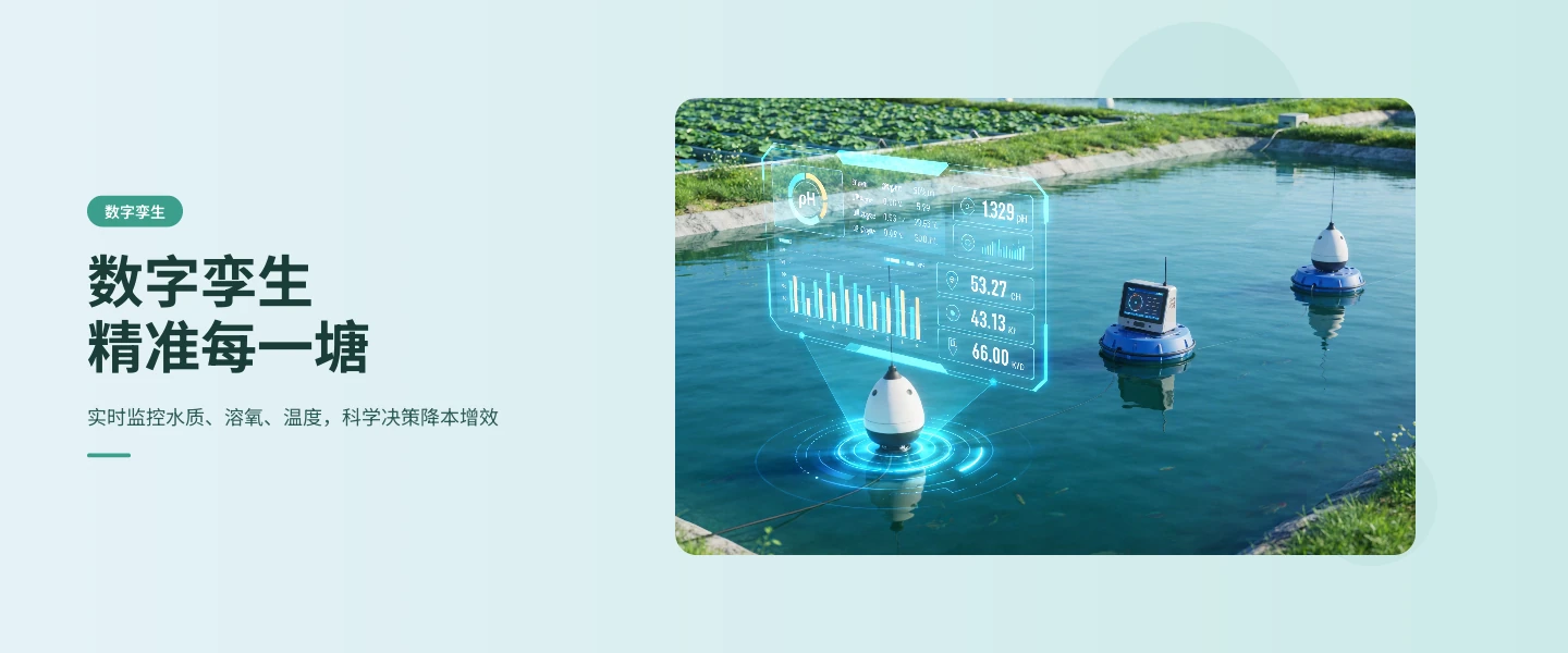 数字孪生精准每一塘